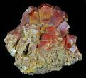 Red & Brown Vanadinite Crystals on Matrix - Morocco #57144-1